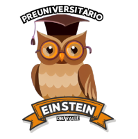 Preuniversitario Einstein del Valle